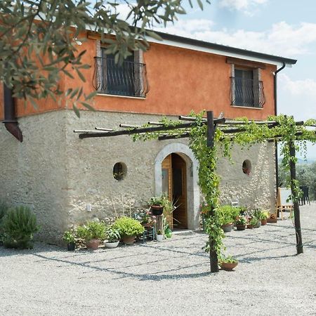 B&B Rifugio Tra Gli Ulivi 캄파냐 외부 사진