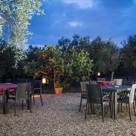 B&B Rifugio Tra Gli Ulivi 캄파냐 외부 사진