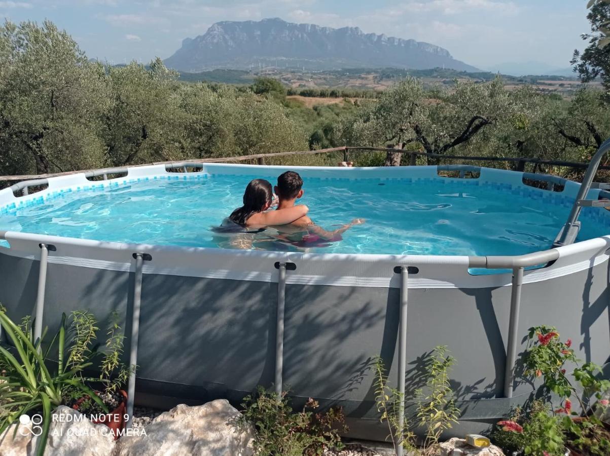 B&B Rifugio Tra Gli Ulivi 캄파냐 외부 사진