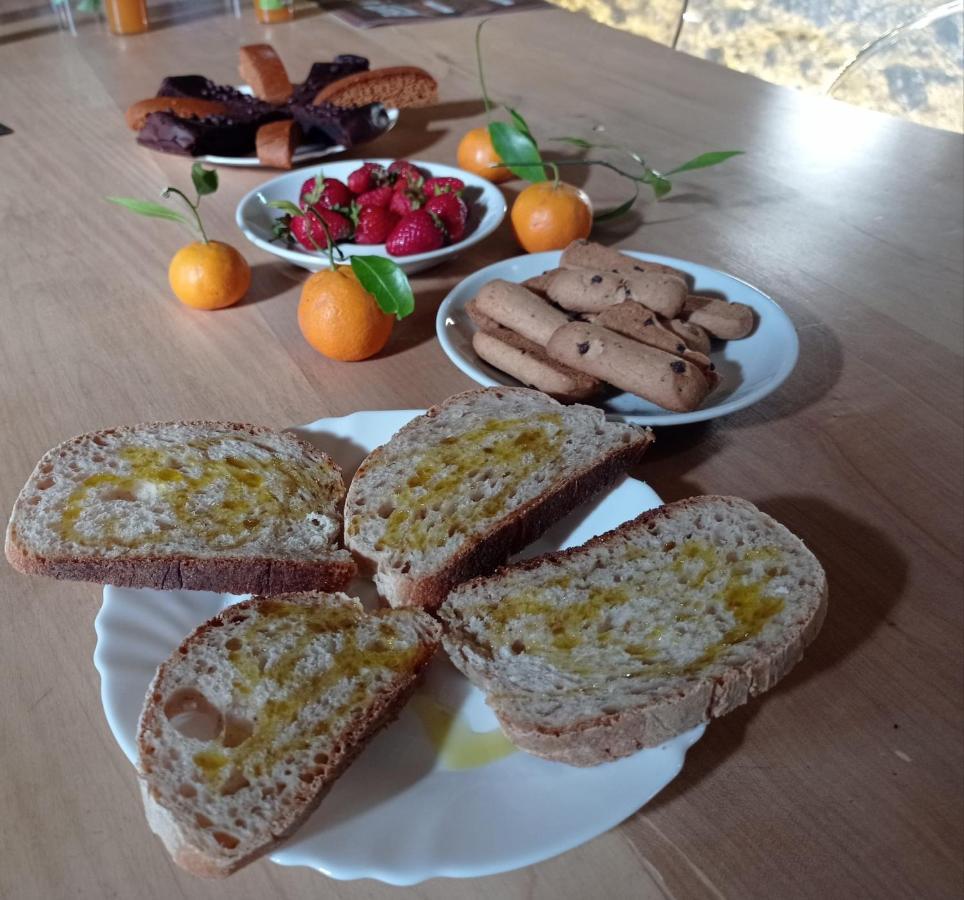 B&B Rifugio Tra Gli Ulivi 캄파냐 외부 사진