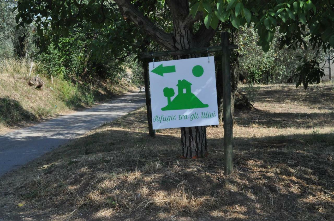 B&B Rifugio Tra Gli Ulivi 캄파냐 외부 사진