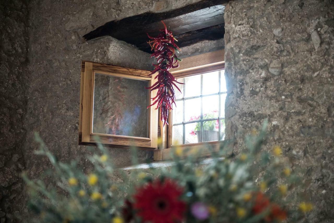 B&B Rifugio Tra Gli Ulivi 캄파냐 외부 사진