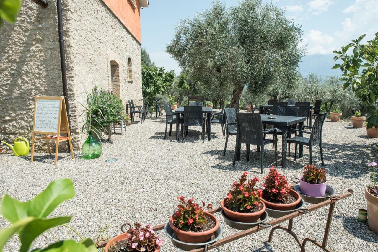 B&B Rifugio Tra Gli Ulivi 캄파냐 외부 사진