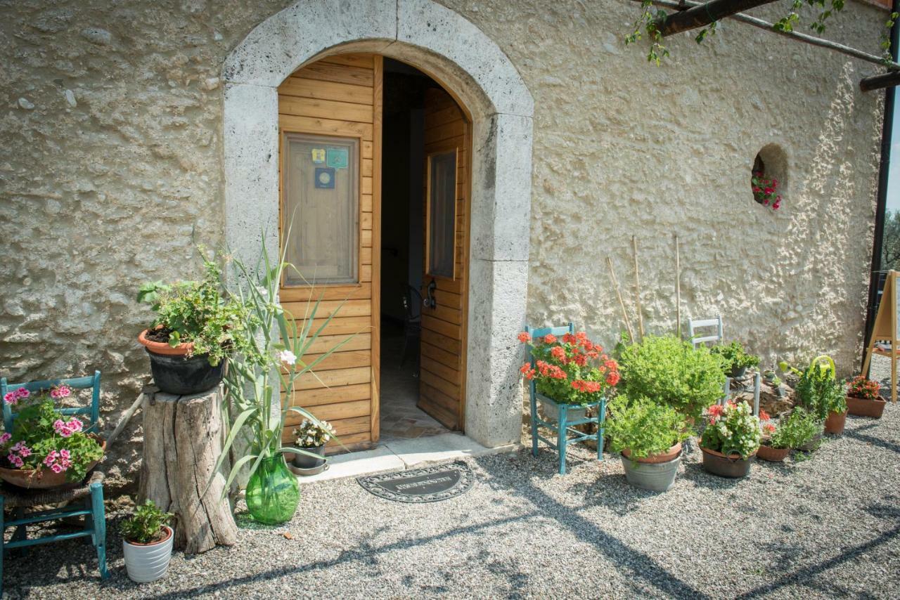 B&B Rifugio Tra Gli Ulivi 캄파냐 외부 사진