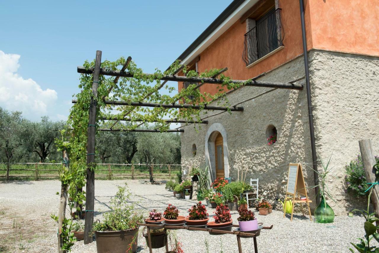 B&B Rifugio Tra Gli Ulivi 캄파냐 외부 사진