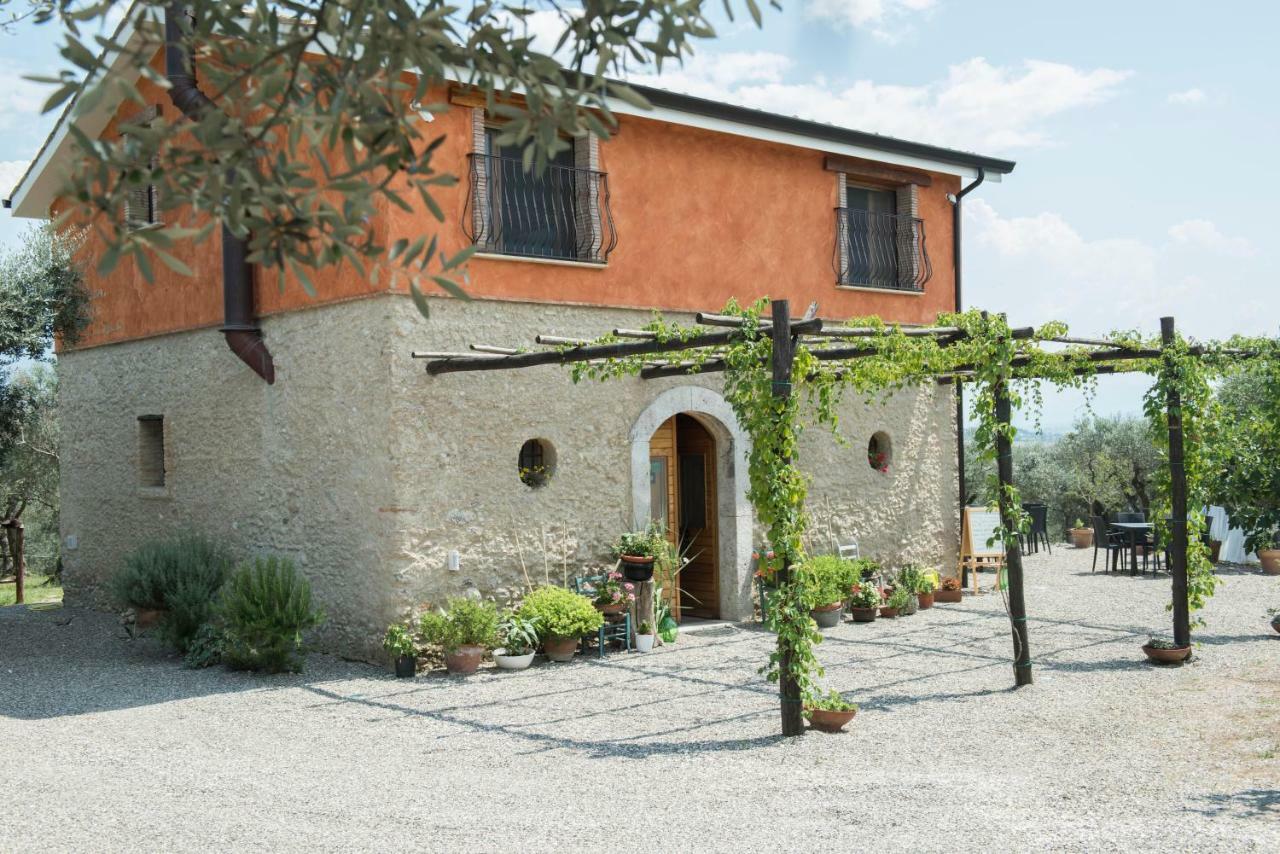 B&B Rifugio Tra Gli Ulivi 캄파냐 외부 사진