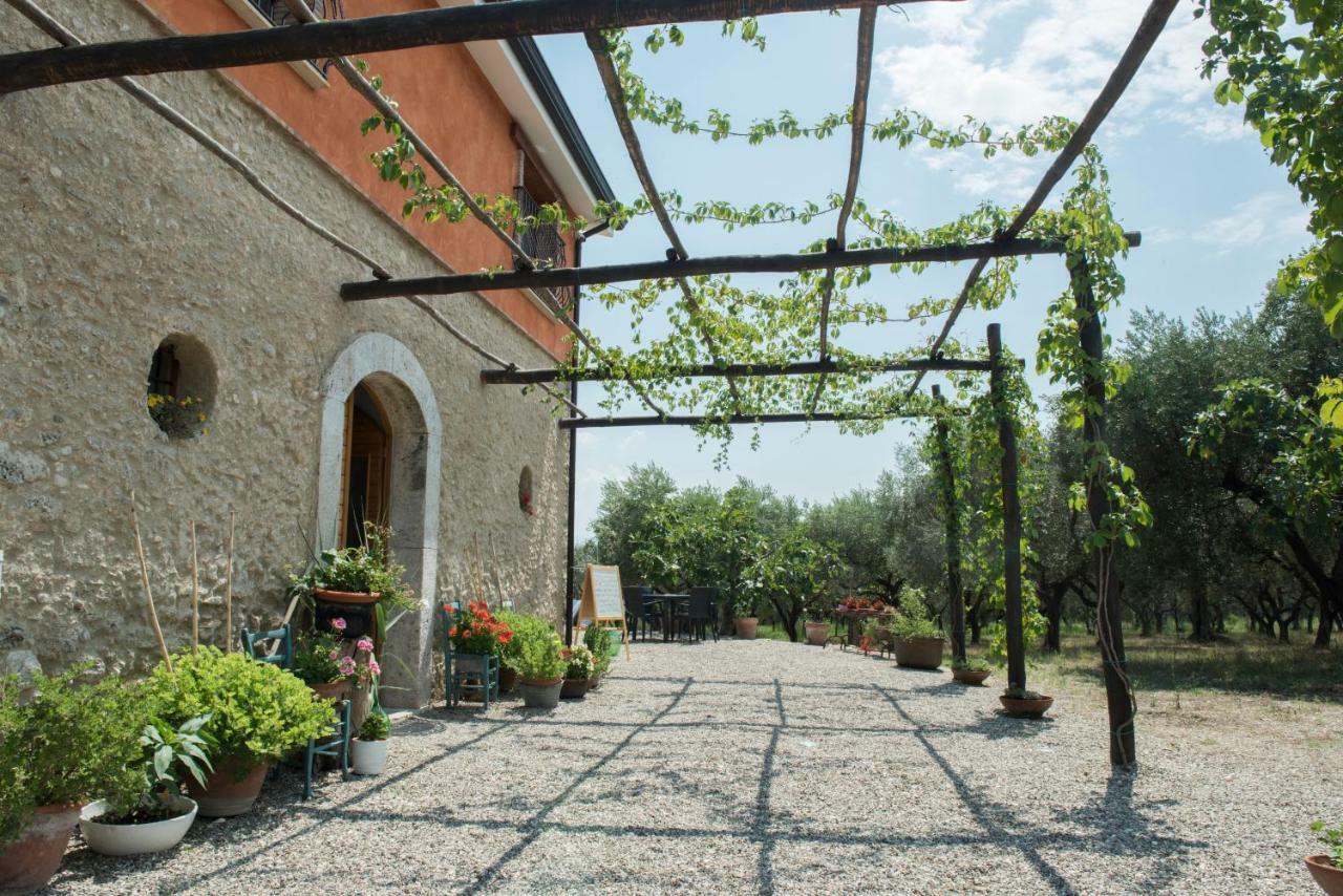 B&B Rifugio Tra Gli Ulivi 캄파냐 외부 사진