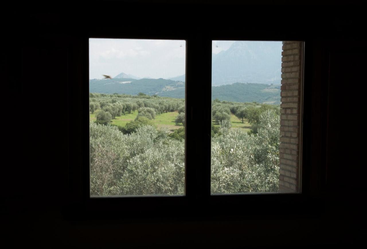 B&B Rifugio Tra Gli Ulivi 캄파냐 외부 사진